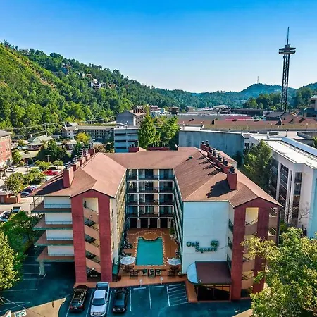 Bear Pause Retreat/Steps To Pkwy/With Indoor Pool Apartment Gatlinburg Exterior photo