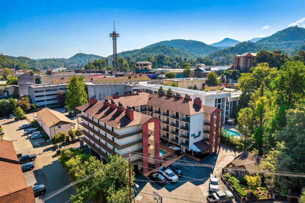 Bear Pause Retreat/steps To Pkwy/with Indoor Pool Gatlinburg